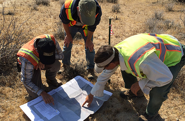 Recurrent Field Photos – EGI