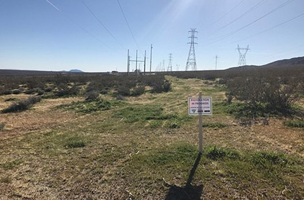 Recurrent Restoration 2 – EGI